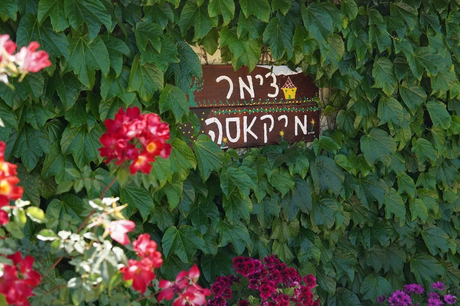 שלט צימר מיקאסה בין פרחים אדומים וצמחיית טיפוס, מושב שעל