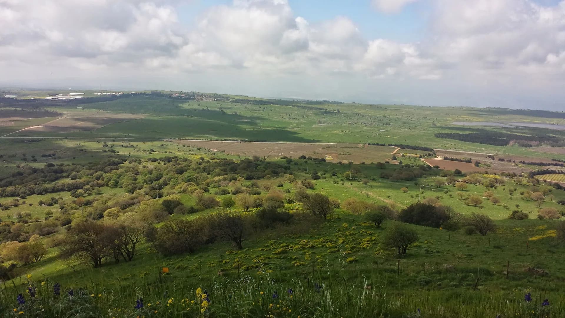 נוף מרחבי הגולן הירוקים סביב מושב שעל, אזור צימר מיקאסה