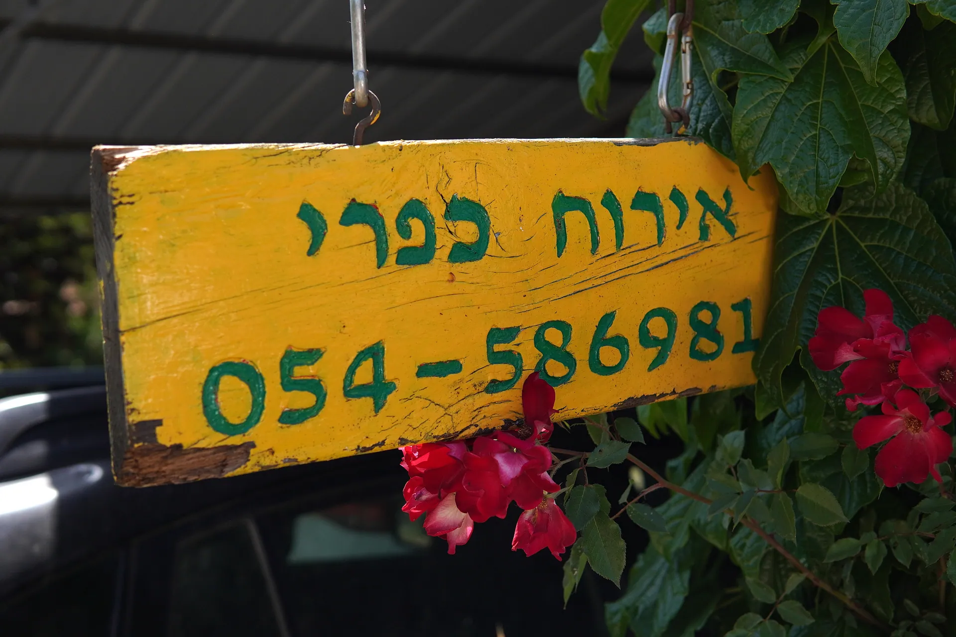 שלט "אירוח כפרי" צהוב בין פרחים אדומים בכניסה למיקאסה