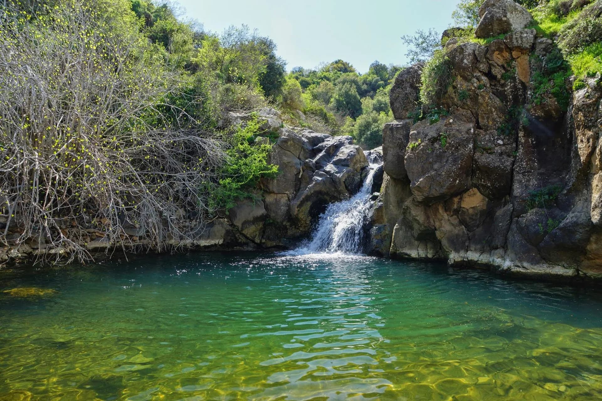 מפל ובריכה טבעית בנחל סמוך למיקאסה ברמת הגולן